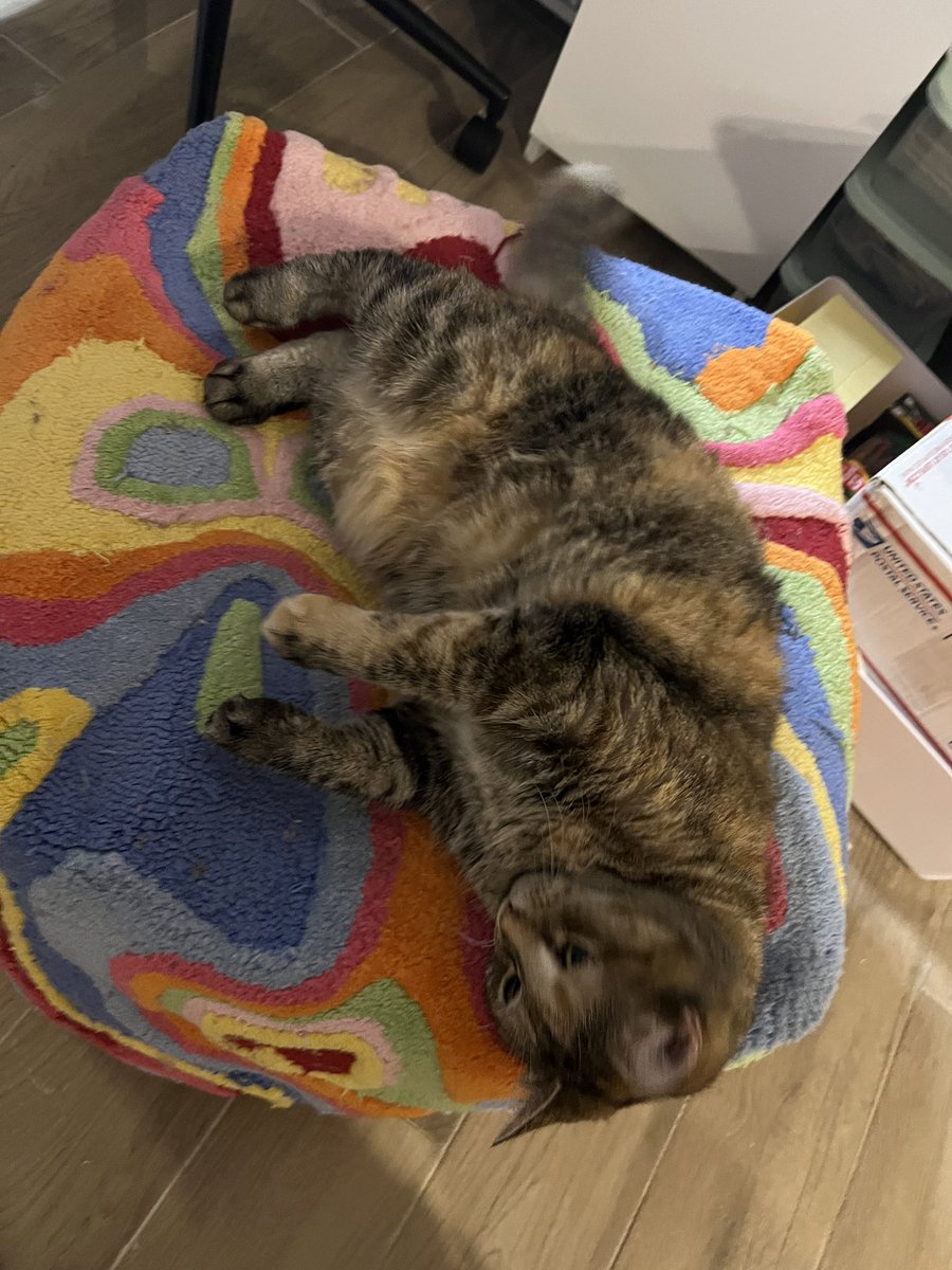 she looks like she has no legs, only feet