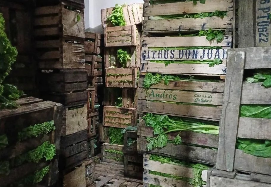 🗣 Fiscalización en comercios: "Hemos detectado una clara intencionalidad de no tributar"

🎙 Hablamos con el secretario de Control Operativo, Miguel Gómez, sobre los operativos de fiscalización que se realizan en la Comodoro, donde se han encontrado situaciones irregulares.