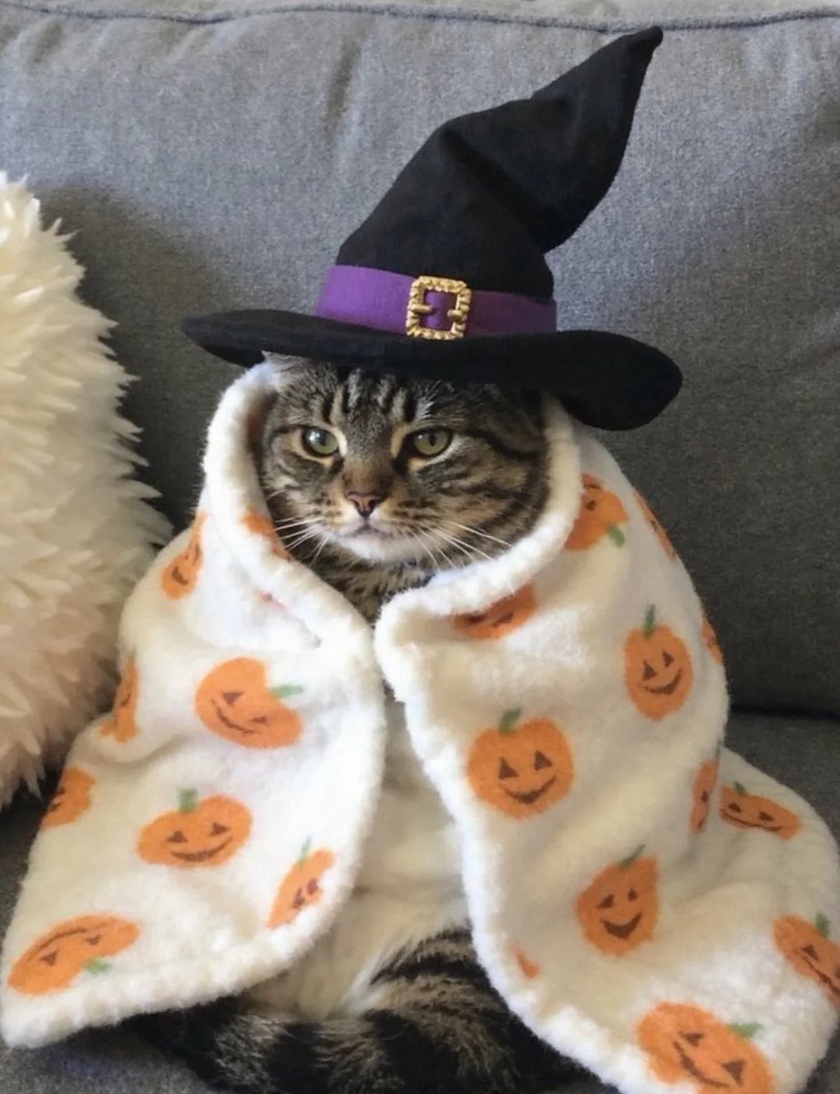 La primer semana de septiembre ya paso y yo soy este: