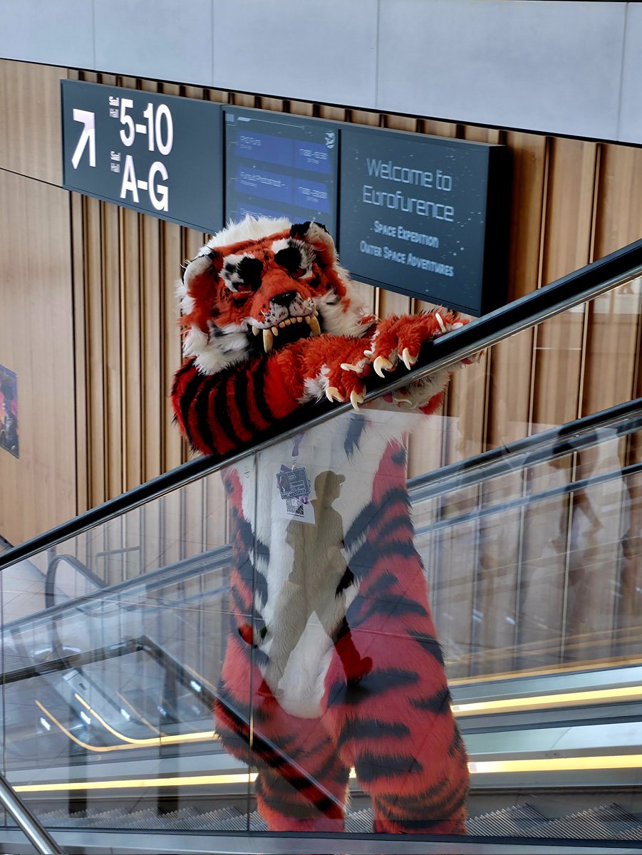 What a nice suite, i couldnt resist to take a shot 😇💜 <a href="/eurofurence/">Eurofurence</a> <a href="/Gin_AmurTiger/">Gin Siberian Tiger</a>
