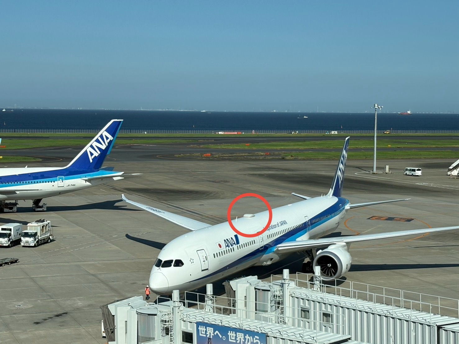 4／24着 ANA..ボーイング787 1/150 NH14418 1:144 BOEING 787-10 JA900A ギアなし ソリッド｜全日空