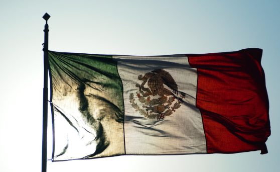 Antonioloretto's tweet photo. Muchos hablan del futuro de México. Pero pocos saben quiénes están al frente de las instituciones del gobierno mexicano. En este 🧵te explico quién lidera la maquinaria de toda la Administración Pública Federal (APF) https://t.co/geR4W1BrDD