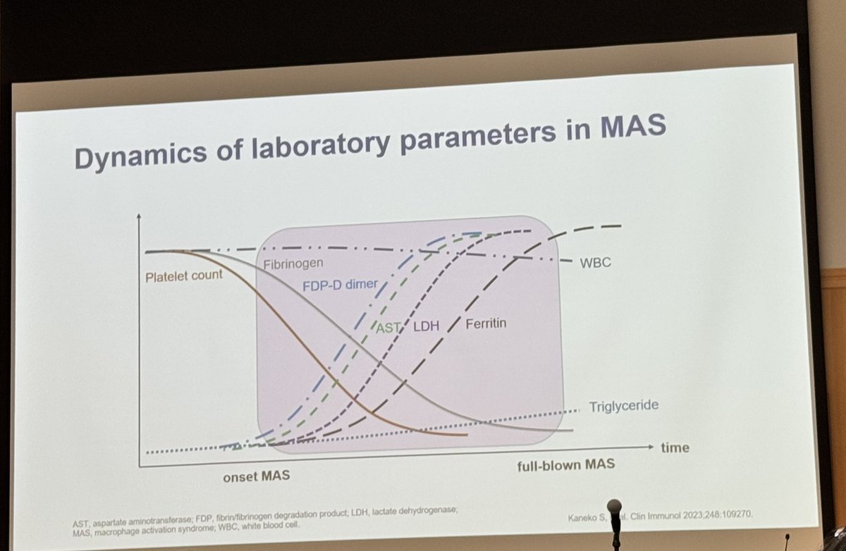 Alberta Hoi (@alberta_hoi) on Twitter photo Dynamic time course of lab parameters from onset of #MAS to full blown disease. Note ferritin rise is quite late. #APLAR2025 Dynamic time course of lab parameters from onset of #MAS to full blown disease. Note ferritin rise is quite late. #APLAR2025