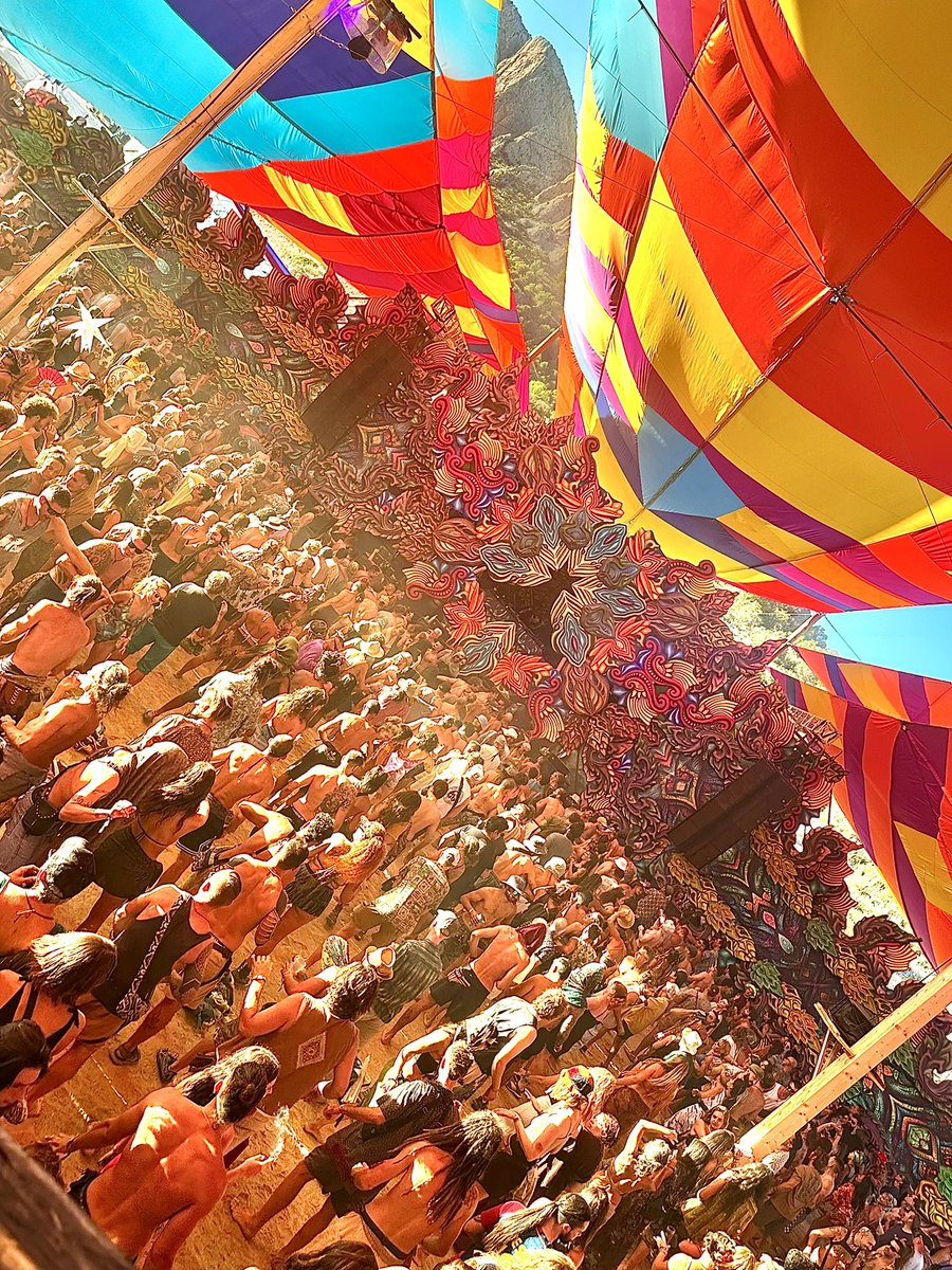 Ace Ventura tweet media