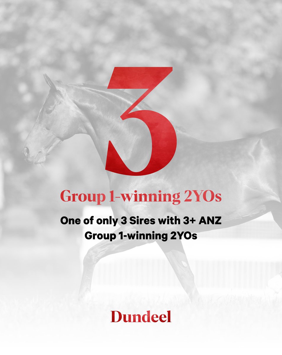 Arrowfield Stud tweet media