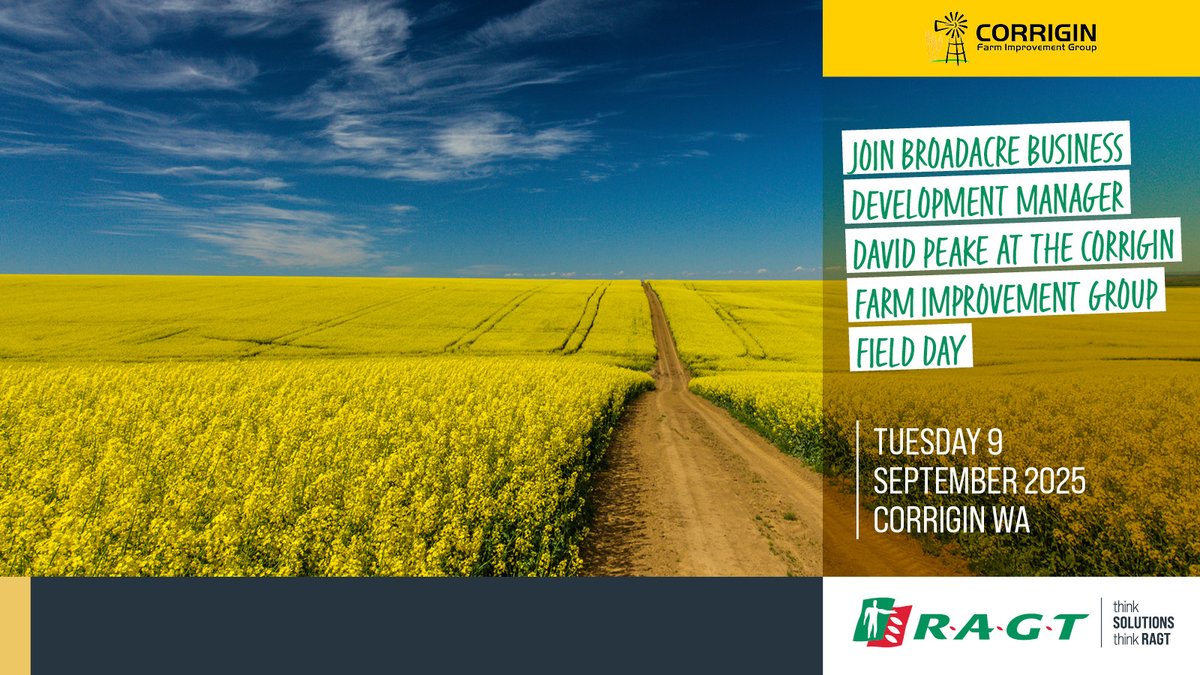 RAGTAU's tweet image. Join RAGT AU Broadacre Business Manager David Peake at the Corrigin Farm Improvement Group Spring Field Day
To find out more about RAGT’s range of broadacre varieties visit ragt.au/our-varieties
#RAGT #ThinkSolutions #ThinkRAGT #Broadacre #fielddays #broadacre #canola