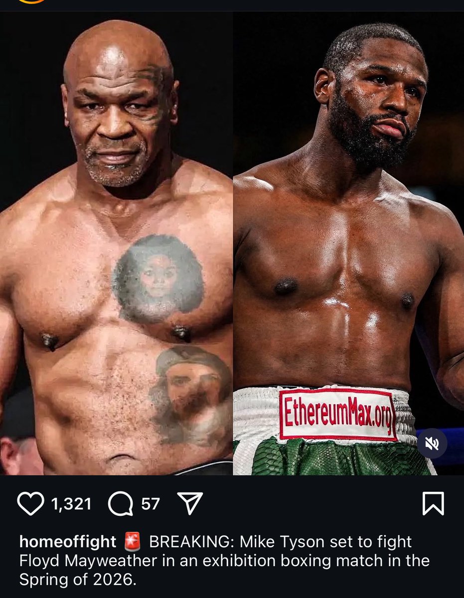 Platini 🦁🍽️ tweet media