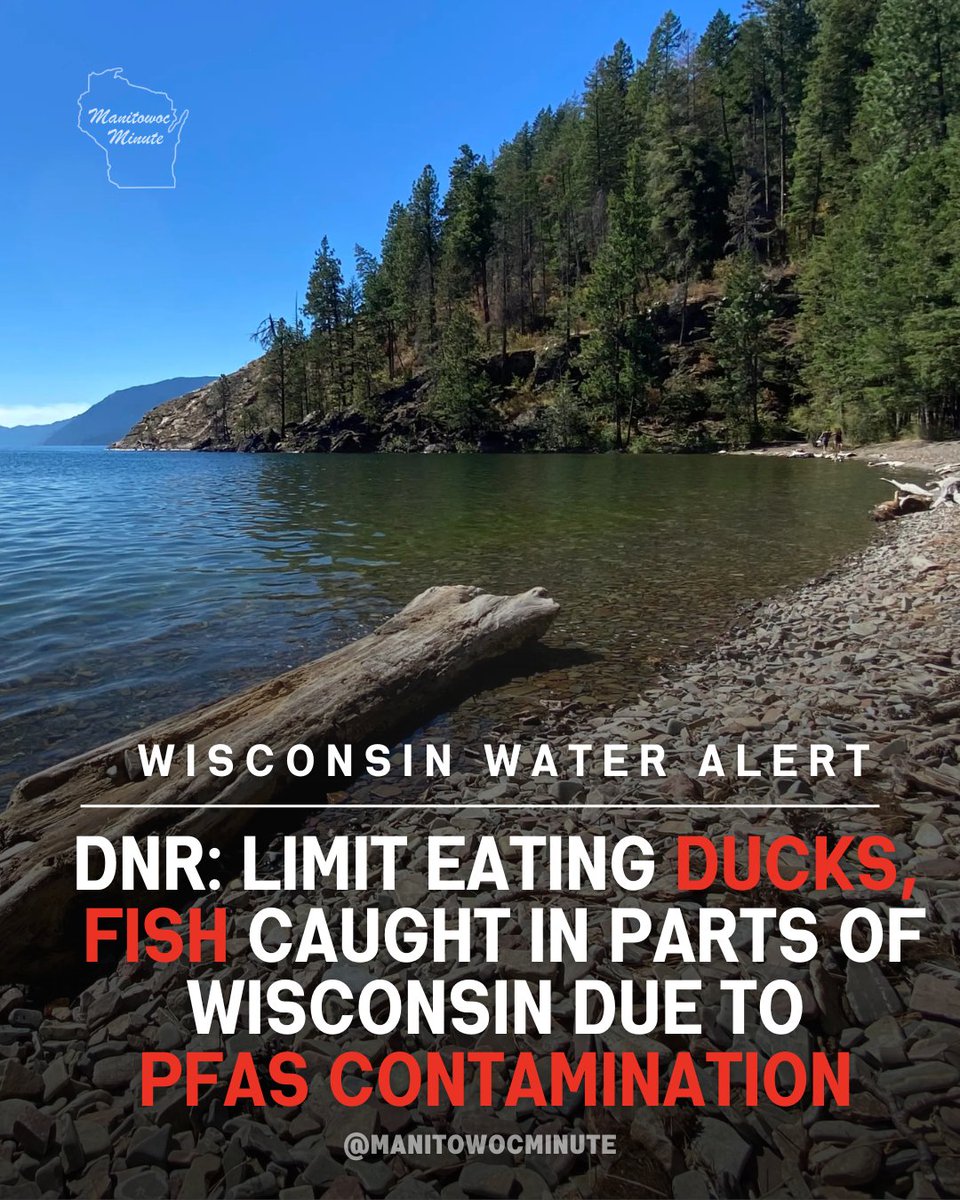 ManitowocMinute's tweet image. Ah cripes, what do we do about this? 🐟 #KeepErMovin #PFAScontamination #GreenBay #Stella #Wisconsin