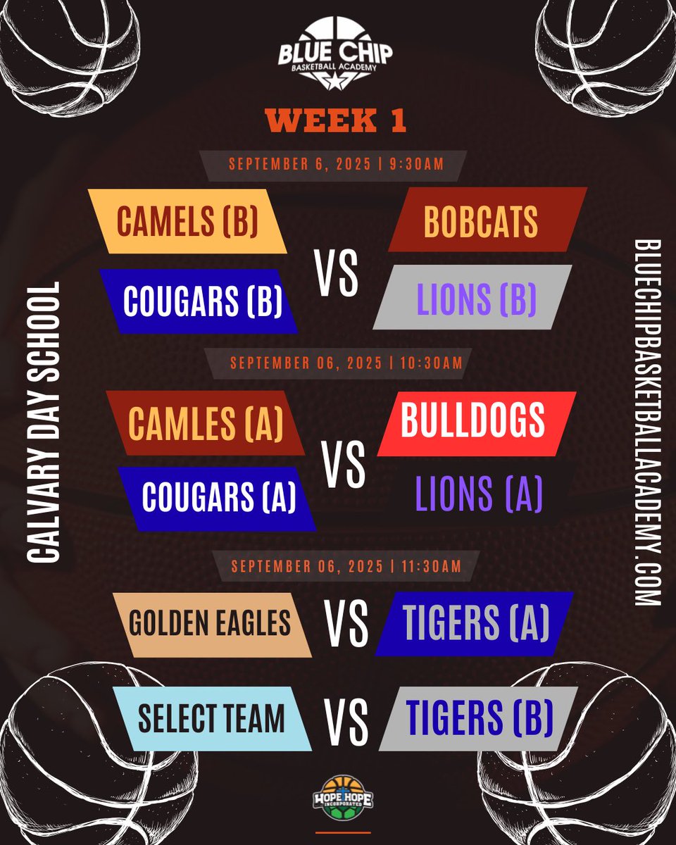 Blue Chip Basketball Academy tweet media