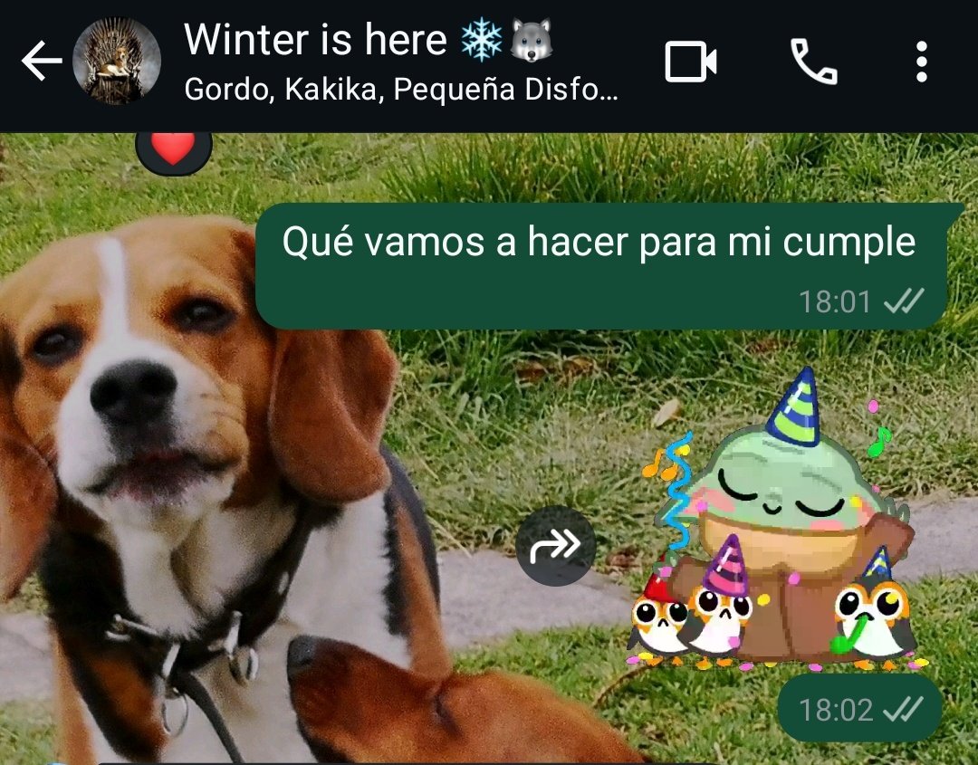 lusonica's tweet image. Falta un mes para mi cumple y yo: