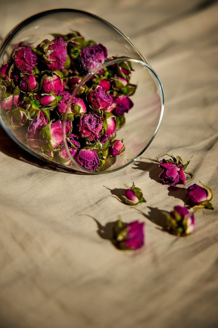 Good morning cuties 😘