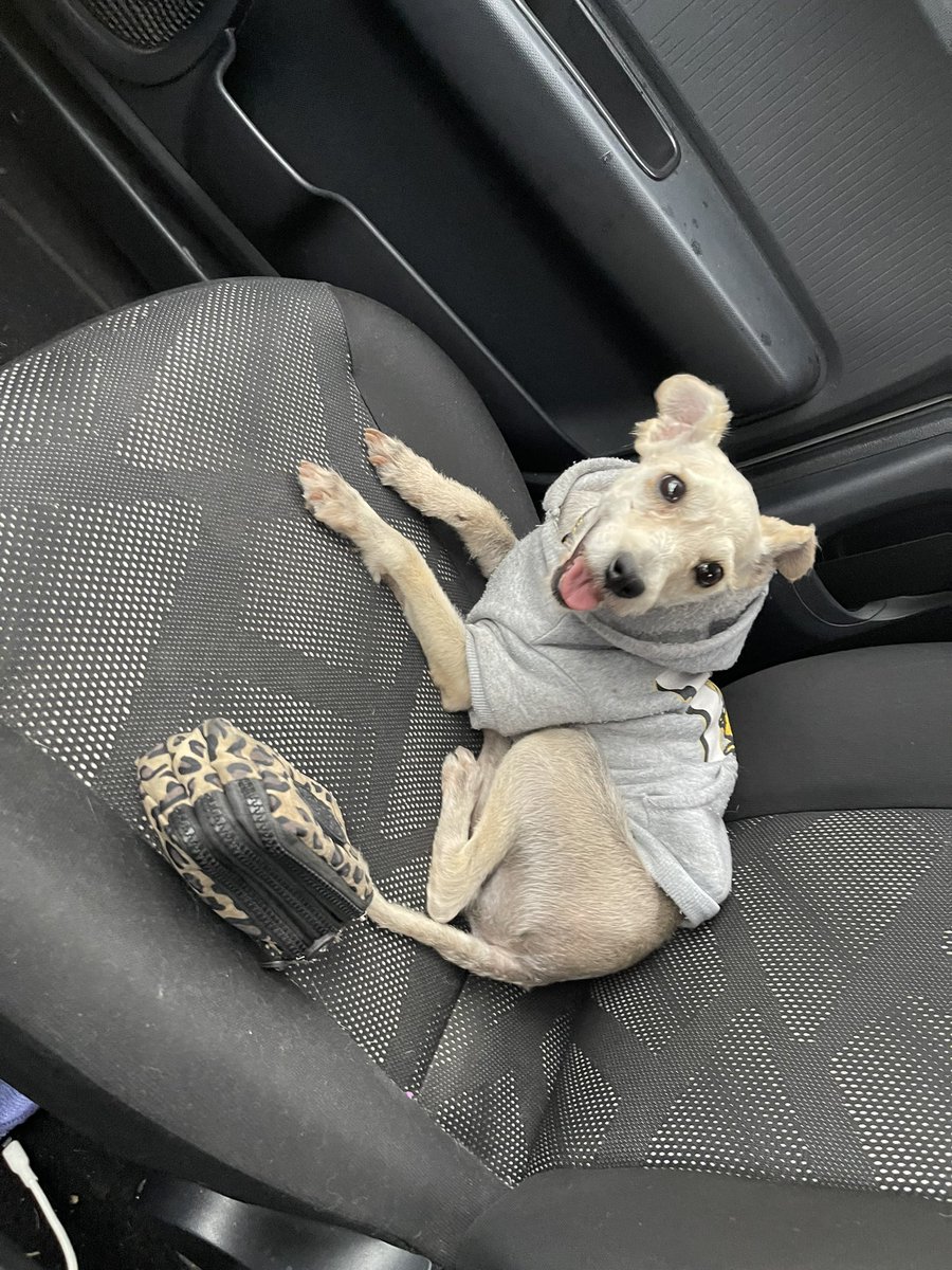 La Joi jue azu primera rebision conel Dop