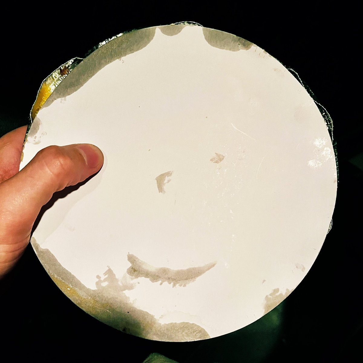 The cover of my brisket is a Bitcoin Puppet I did not draw this on