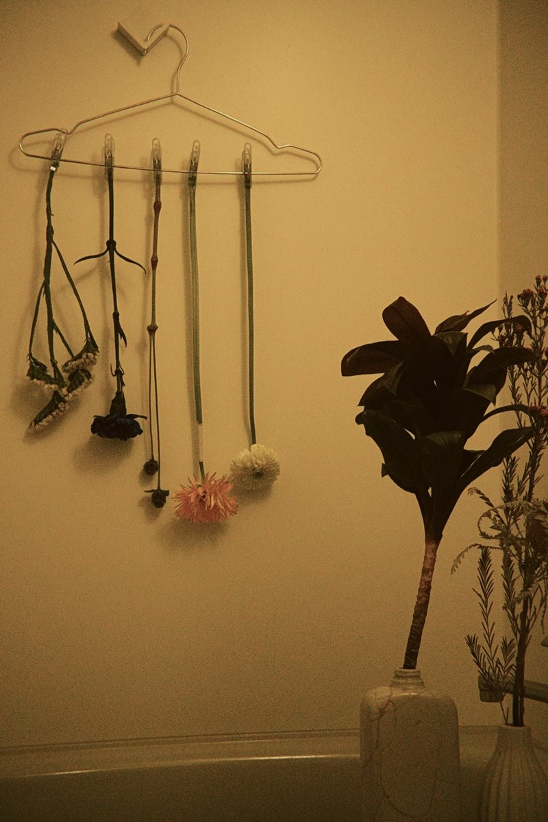 うちの猫は花を食べる🐈
が、ドライは食べない