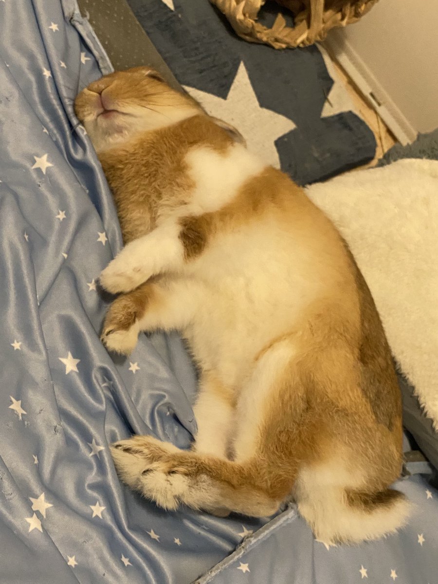 今日も待っててねーー😭✨️お仕事頑張る！