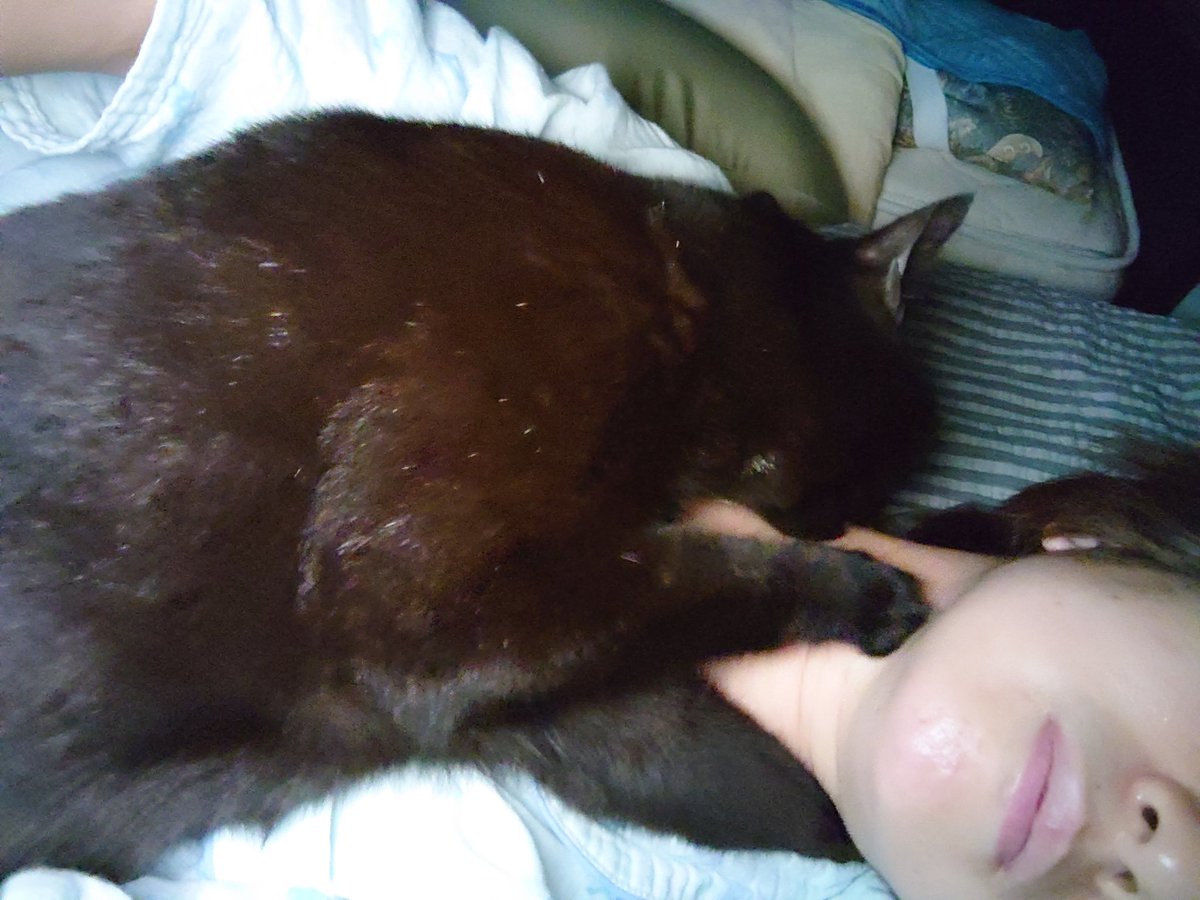 久々のイチャイチャ🐈‍⬛😍😘😚
幸せ🥰💞
