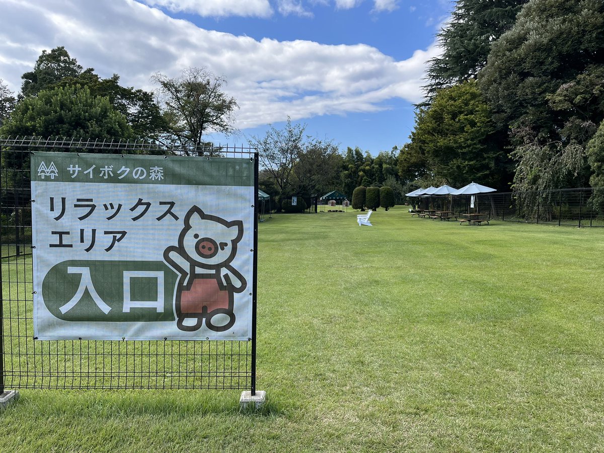RIN_NOSTA_'s tweet photo. 5(金) 昼・夜

太麺

ポン酢、醤油、太塩
　
煮た卵、大阪背脂　共にＦ
どちらかお伝えを

久しぶりに 大阪の背徳背脂 有り
　ポン酢と太塩には勧めません。

煮るも焼くも
豚肉は サイボク を使ってますが
今月から 骨も脂も全てが
サイボクゴールデンポーク です https://t.co/LIZKbzwmbr