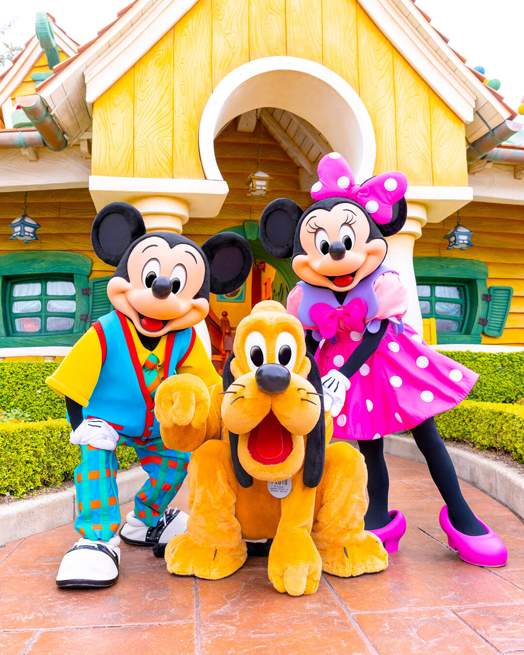ミッキー、ミニー Amazon.co.jp: ディズニー (Disney) ミッキー＆ ミニー ミニ
