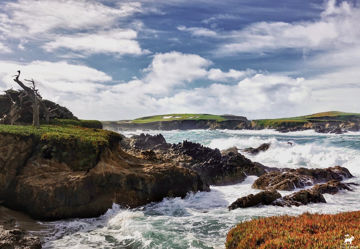 LinksGems's tweet image. This is the most beautiful golf hole in the world.

I don’t make many absolute, superlative statements about golf courses or golf holes, but for the 16th at Cypress Point, I can make an exception.

In fact, for a golfer, a look out over this hole might be the most beautiful view…