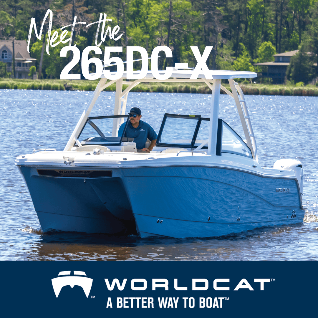 World Cat Boats tweet media