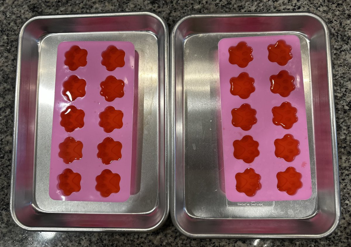 ✅ Curriculum Night
✅ Prepping colored ice cubes for tomorrow lab on changes in the states of matter. Can't wait to see their faces light up when they understand condensation! 
❎ Dinner prep