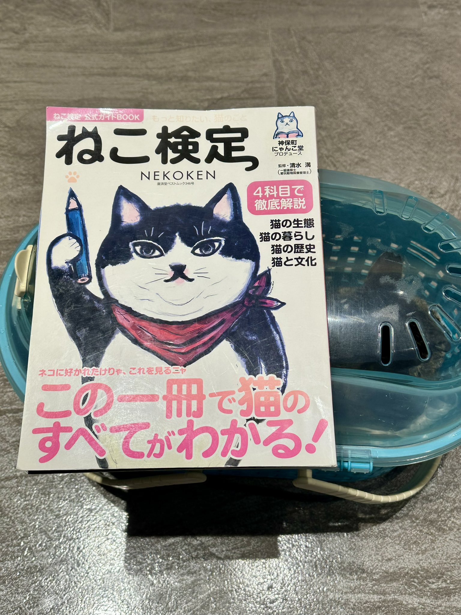 ネコ好きさんポイント無し　2000p使用 ネコ好きさんポイント無し 2000p使用 超猫🐈 on X:
