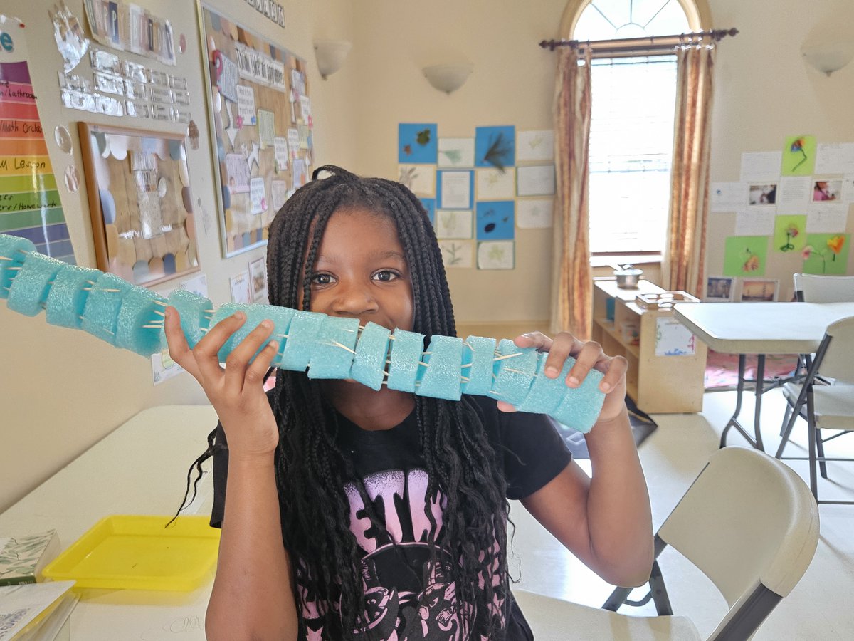 TheDanielCenter's tweet image. Building big ideas! 🦖🤖🏗️ Using the engineering design process, students turned toothpicks and pool noodle rings into creative structures like towers, robots, and even dinosaurs!
#stemlearning #engineeringdesign #creativeminds #futureengineers #handsonlearning