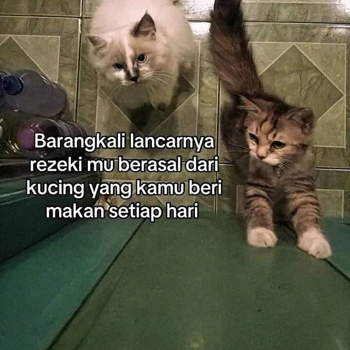 Ketawa itu GRATIS 🛩 (@kucengterbanggg) on Twitter photo 