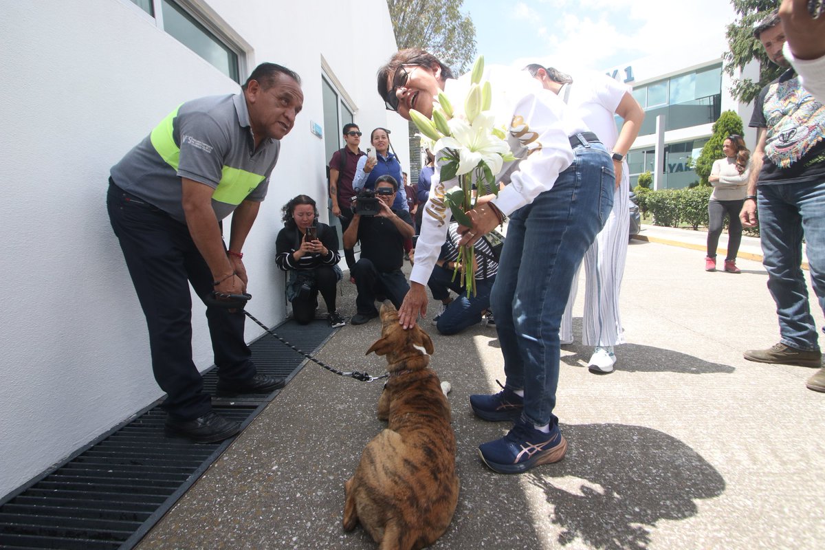 larevista_unica's tweet image. Recorrido de campaña de la Dra. @LiliaCedilloMX, en el Bachillerato Internacional 5 de Mayo de la @BUAPoficial en Cuautlancingo.
#Puebla #BUAP #estudiantes #campaña
Fotos: Miguel Ángel Huerta @Titomino #único 📸
(1-2)