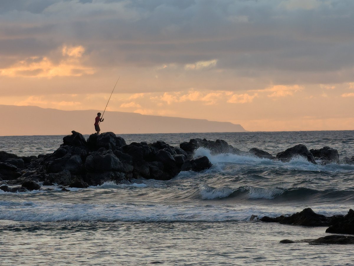 mwg12's tweet photo. Maui angler https://t.co/IlI2S5cEob