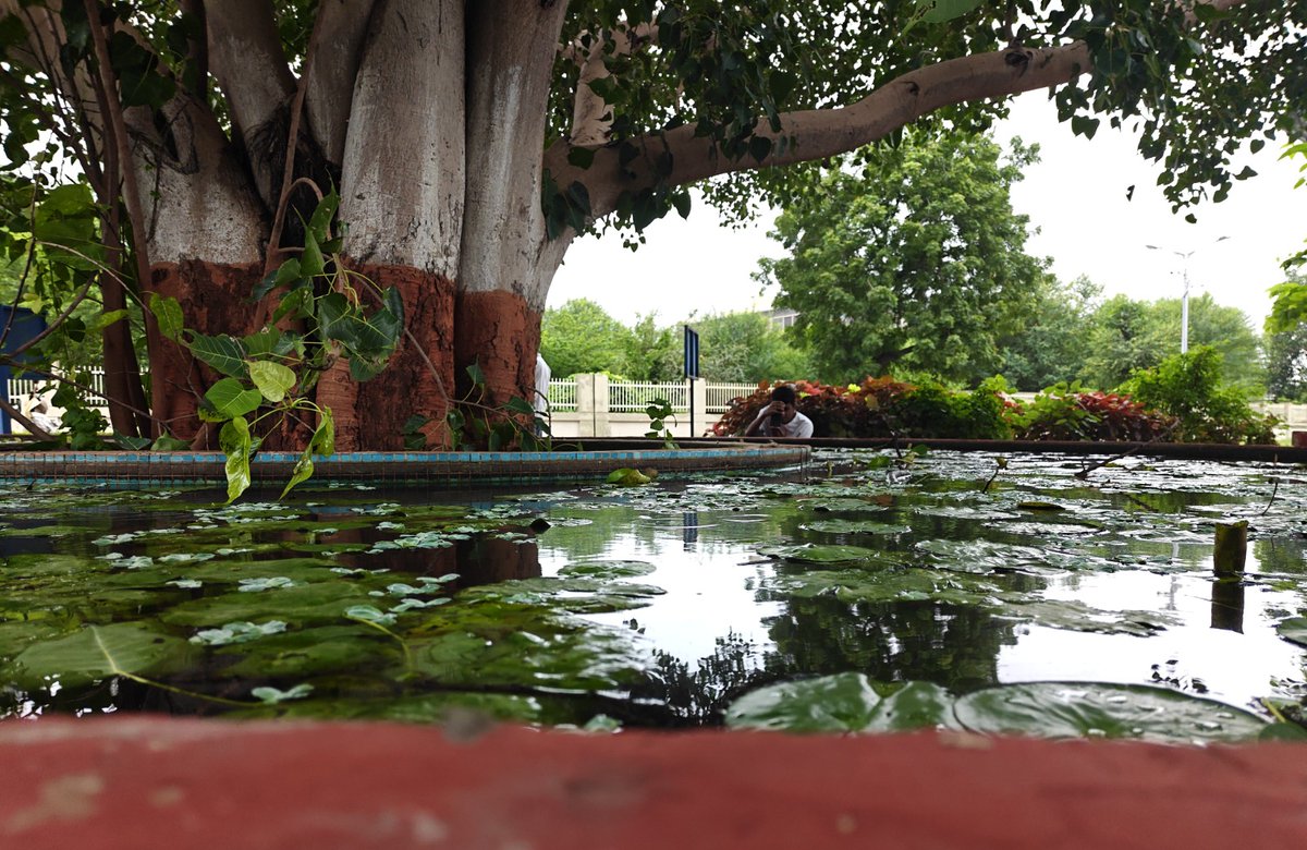 OfficialVgec's tweet photo. 📸✨ Capturing Moments, Creating Memories! ✨📸

VGEC Photography Club’s Campus Photo Walk took participants on a refreshing journey through the lens—exploring beauty, perspectives &amp; stories across campus. 🌿🏛️

#VGEC #CampusPhotoWalk #PhotographyClub #CreativeLens #StudentLife https://t.co/C7xjxGyU3k