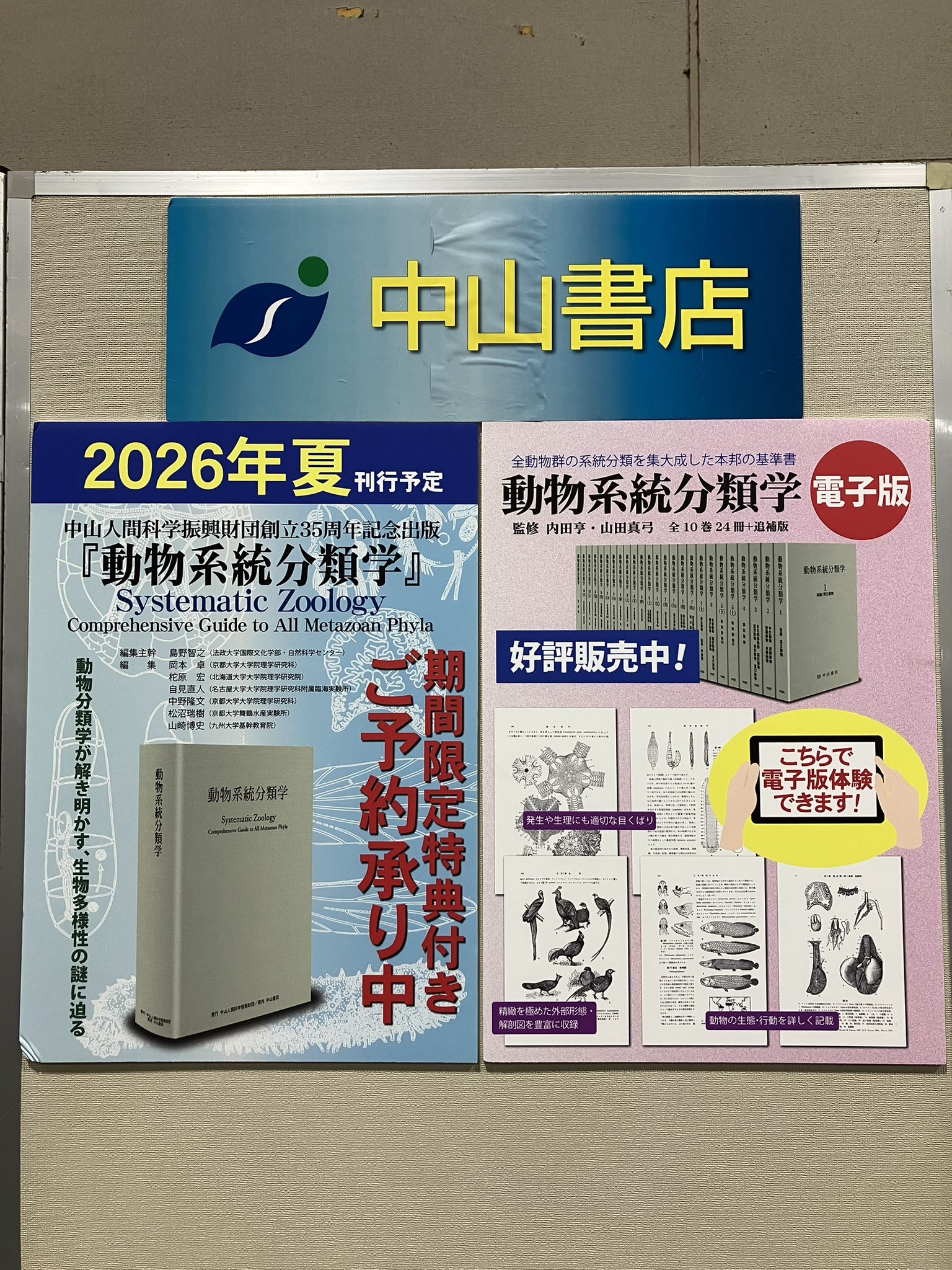 【中古本】動物系統分類学10上 中古本】動物系統分類学10上 動物系統分類学(内田亨 監修 黒田