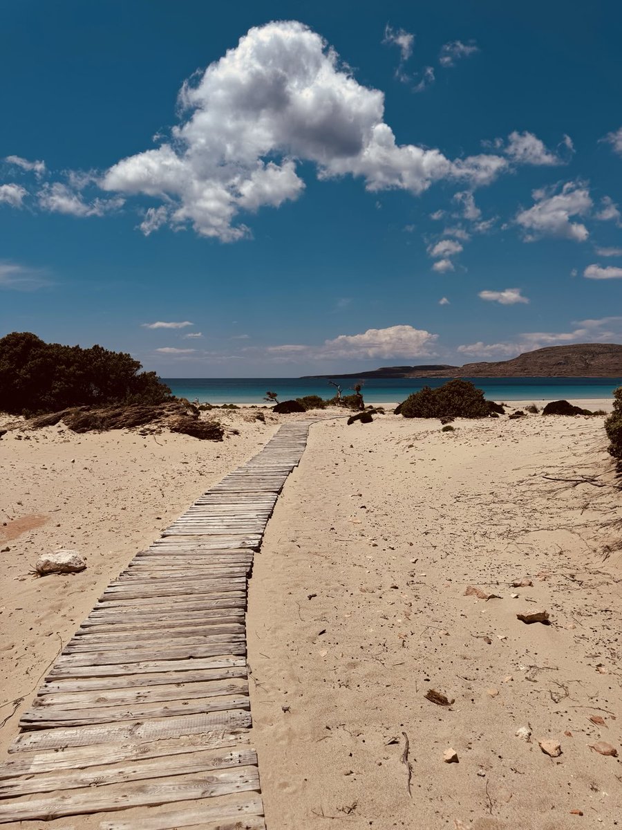 sunflower (@chr90688) on Twitter photo 