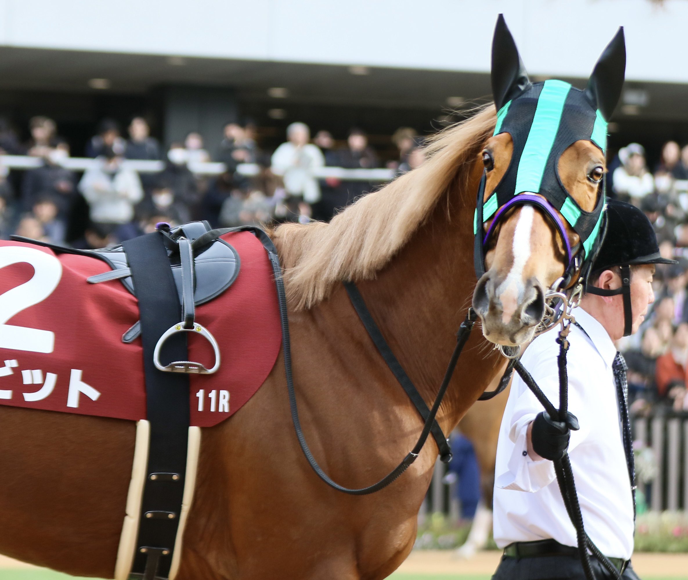 まるもち (@marumochimatcha) / X