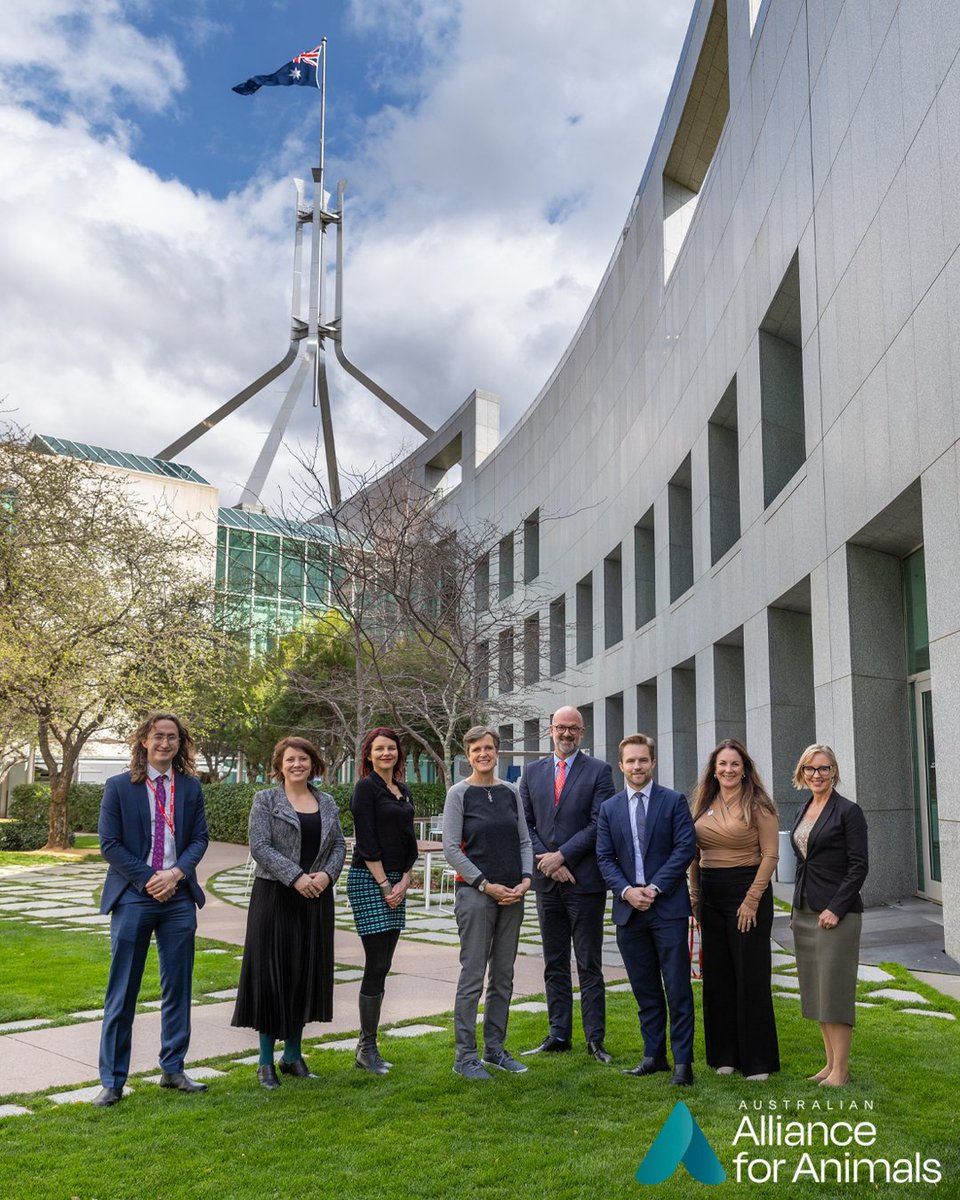 Australian Alliance for Animals tweet media