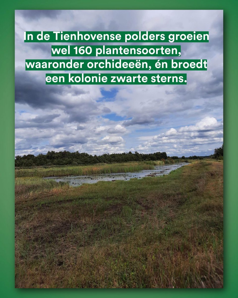 Vliegbasis vol veldleeuweriken, polders met 160 plantensoorten en zwarte sterns.

Tijdens werkbezoek Tour de Natuur zag Statenlid Anjo Travaille hoe kwetsbaar én bijzonder de Utrechtse natuur is.

Les van de tour: hoog waterpeil, goed maaibeheer en schoon water zijn onmisbaar!