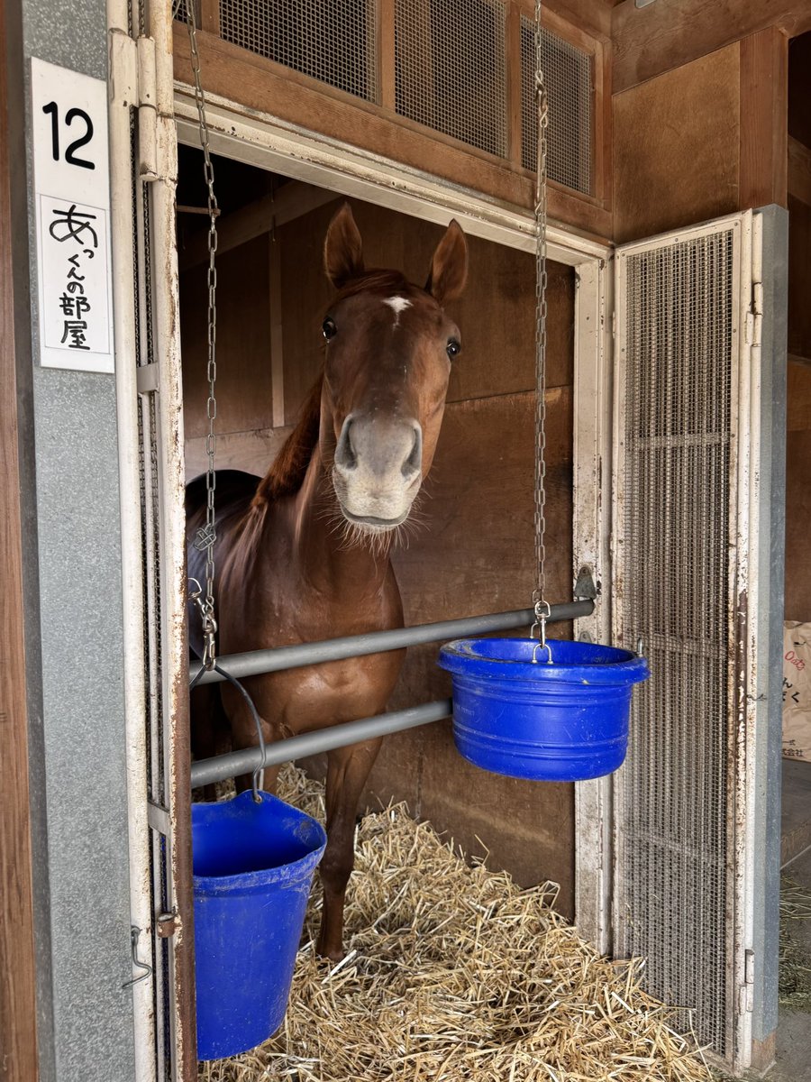 ウチくる！？

#アーレムアレス