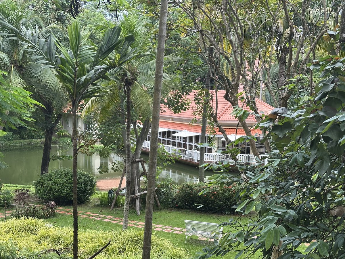 Easing into a slow weekend after a whirlwind few months of work and travel.  

The folks here <a href="/SofitelAngkor/">Sofitel Angkor</a> have won me over with a heartfelt welcome, complete with an edible art installation! 

Lush green views from the balcony, a cozy yet ‘magnifique’ suite and a thoughtful