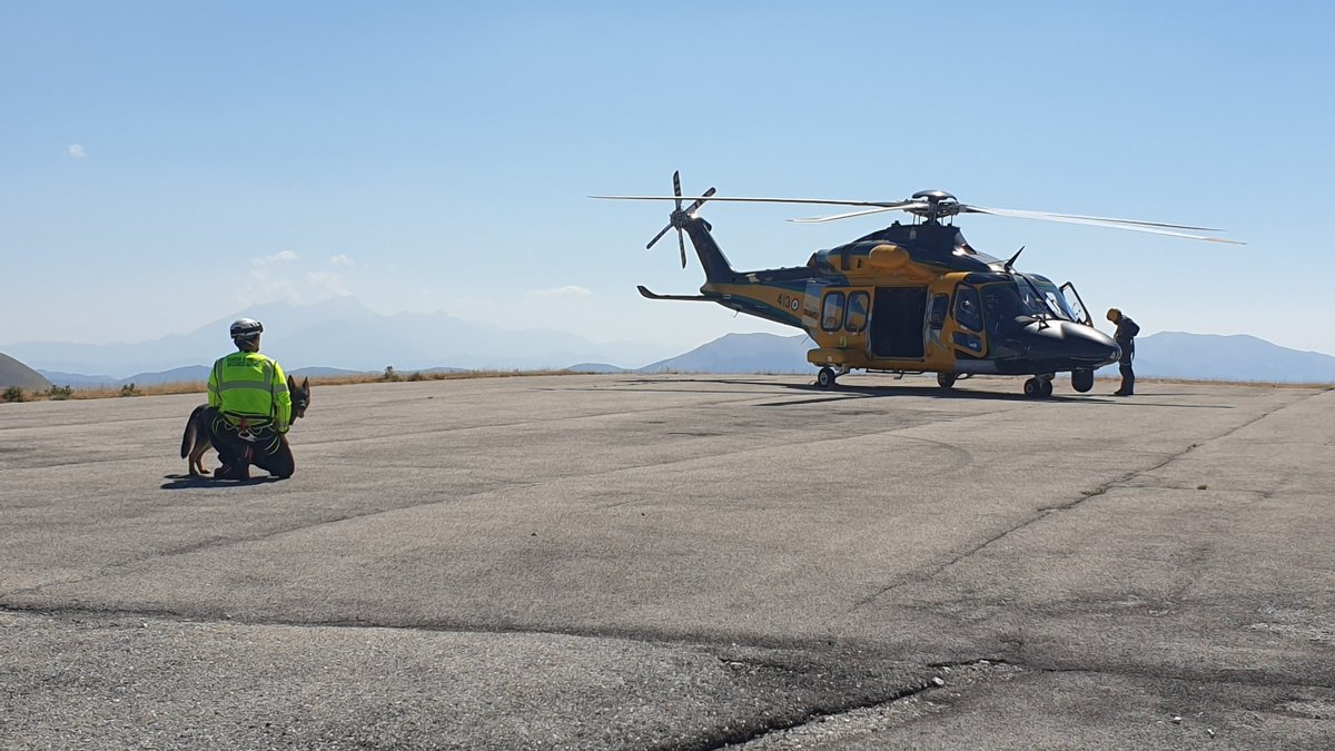 Guardia di Finanza tweet media