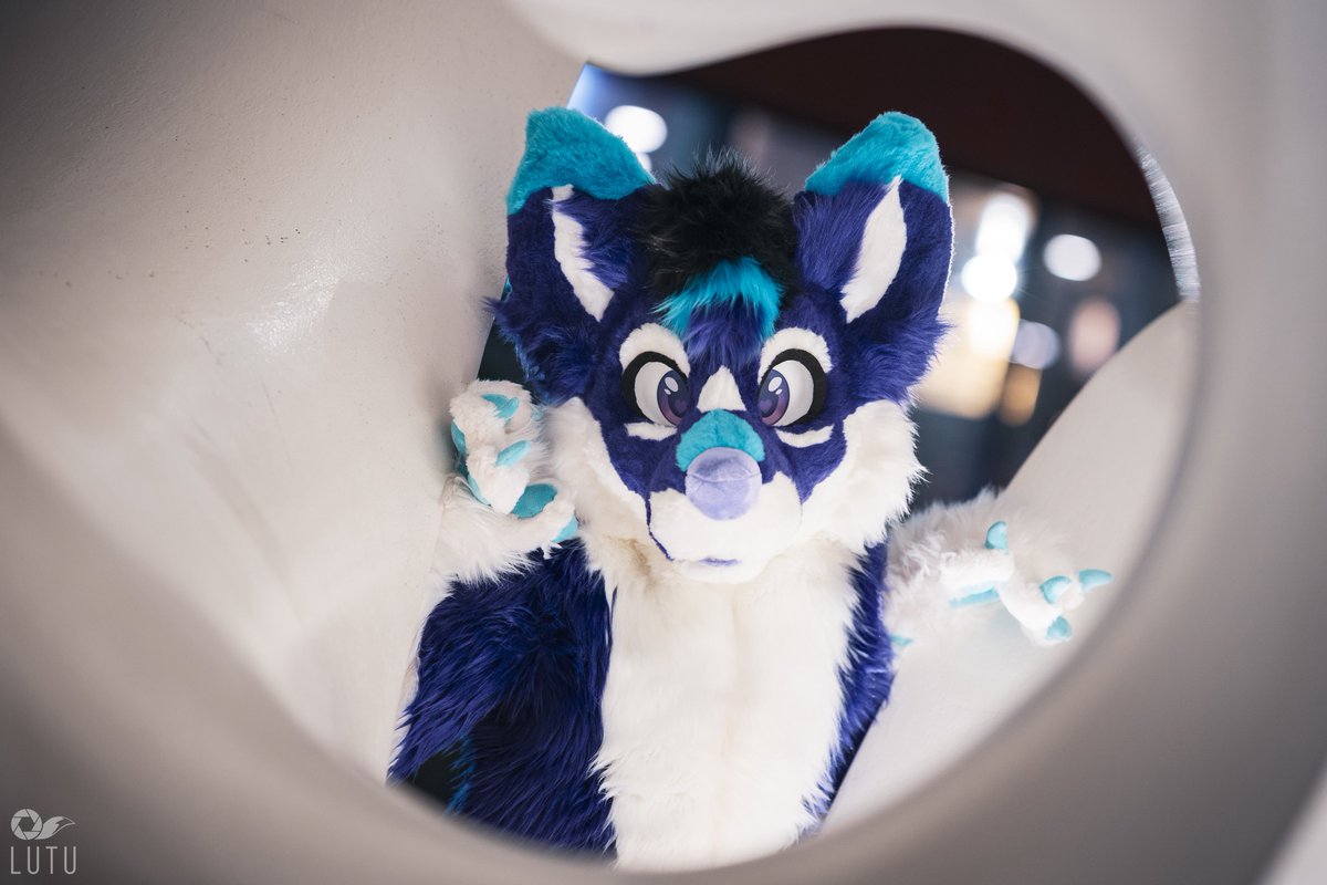 sandoraptor's tweet photo. Happy #FursuitFriday!

📸 @Lutufox 
🪡 @AltaWoof 
📍 #NFC25 https://t.co/zm9y9WVGGh