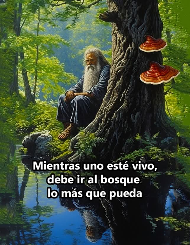 DBenandanti's tweet image. 