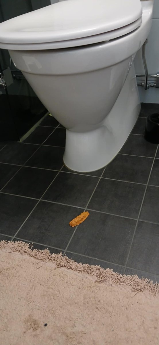 Life with a kid means toys everywhere. In the picture: a small pile of brown plastic hay for the toy horses to eat.