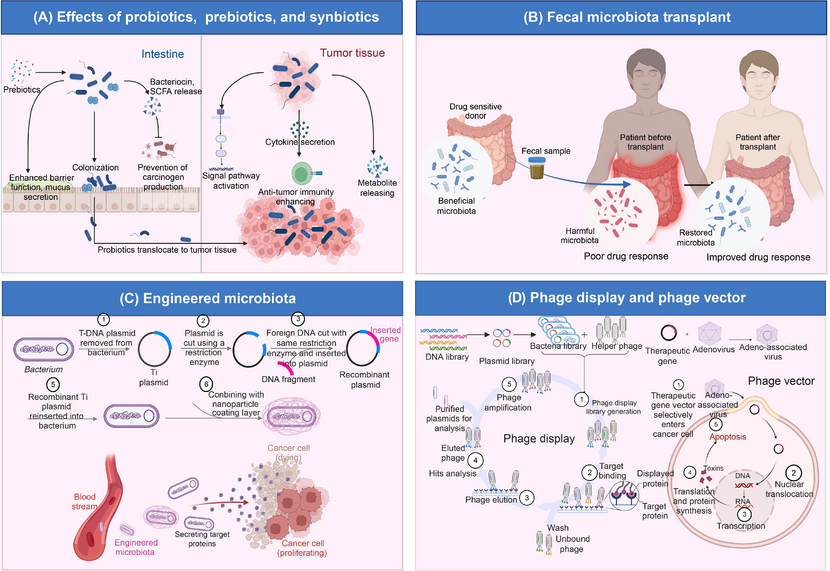 Microbiome2026's tweet image. 🚀 The future of medicine lies in the microbiome!
Explore breakthroughs at 2nd Global Microbiome Congress (#GMC2026)
📅 Apr 07–08, 2026 | 📍 Dubai

🌐 microbiomecongress.org

#Microbiome #MicrobiomeScience #CancerResearch #PrecisionMedicine #BiotechInnovation #HealthcareFuture