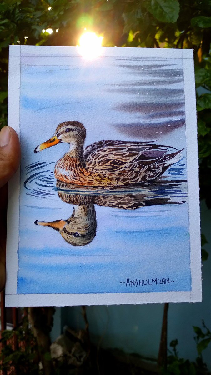 AnshulMilan's tweet image. My #watercolorpainting @AnshulMilan