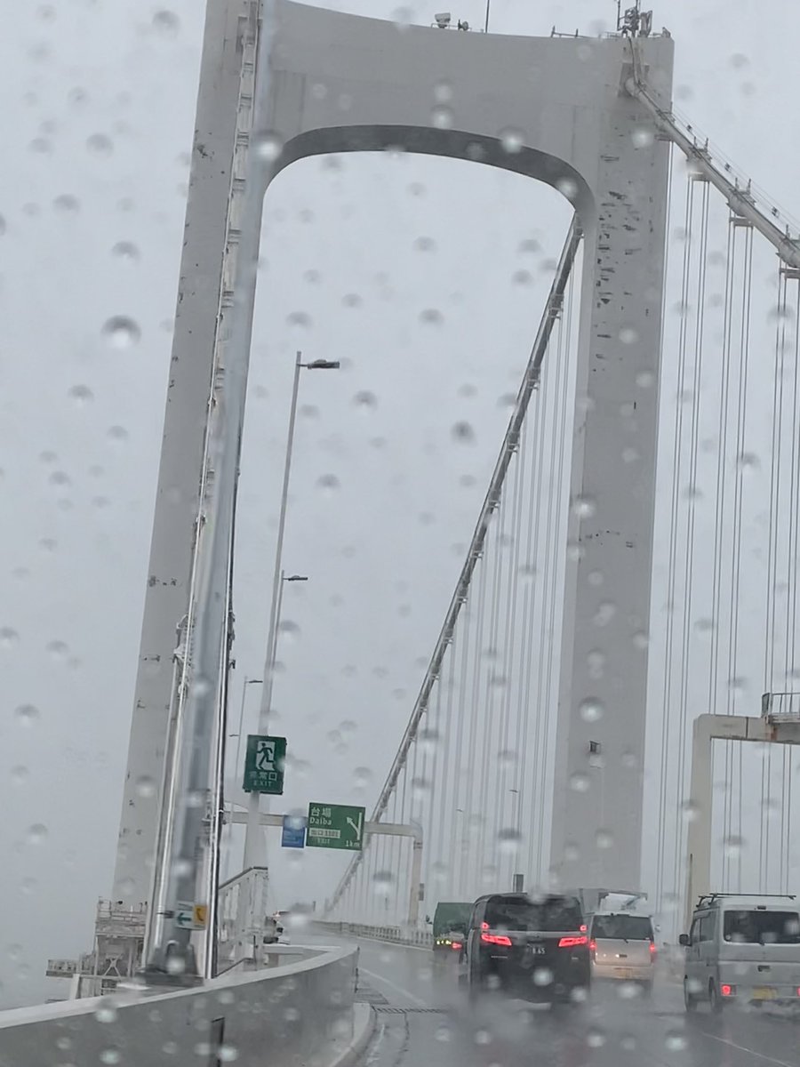 myao_my1's tweet image. #charmy散歩

台風に気をつけてね☔️

#イマソラ
#レインボーブリッジ