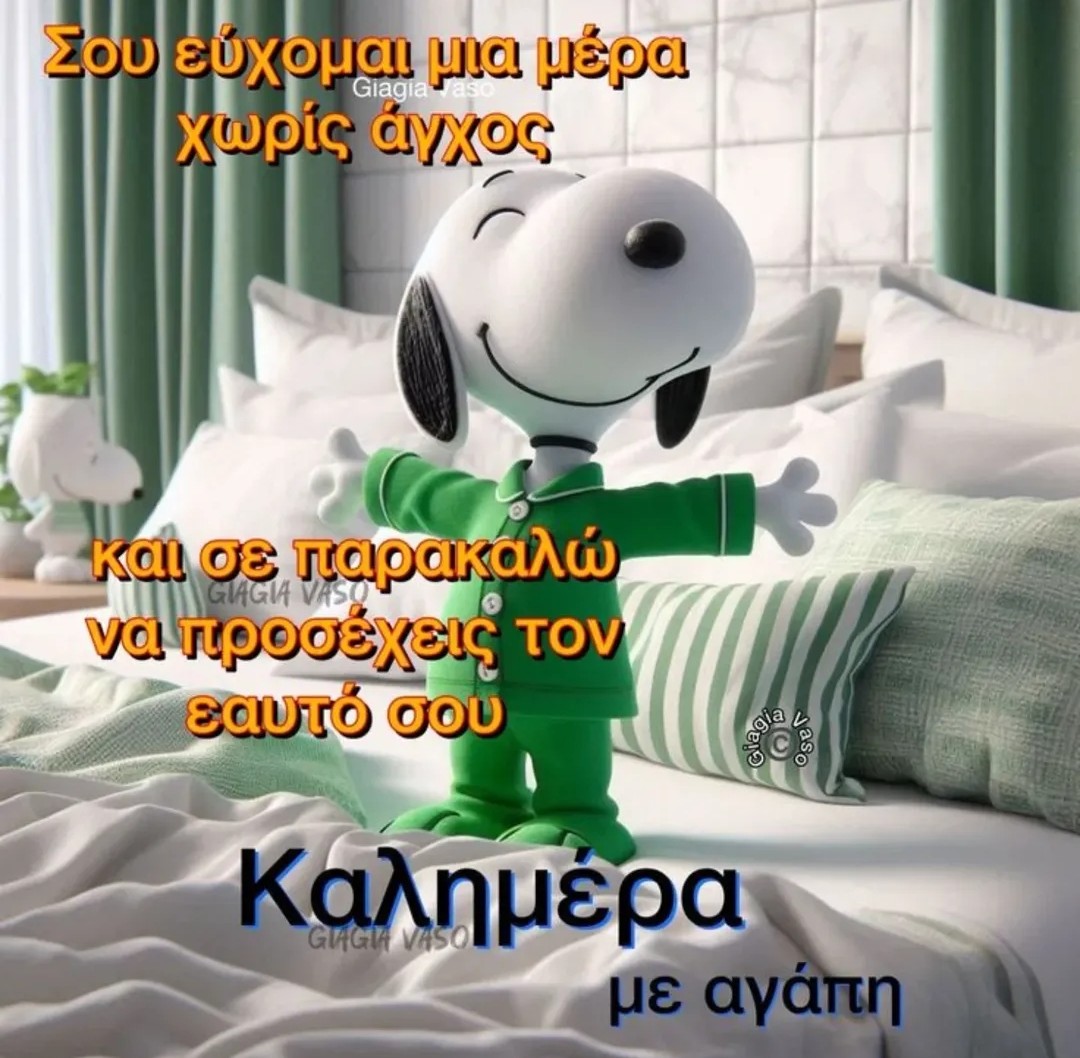 MariaCo54644105's tweet image. 💚💚💚💚💚💚💚💚💚💚