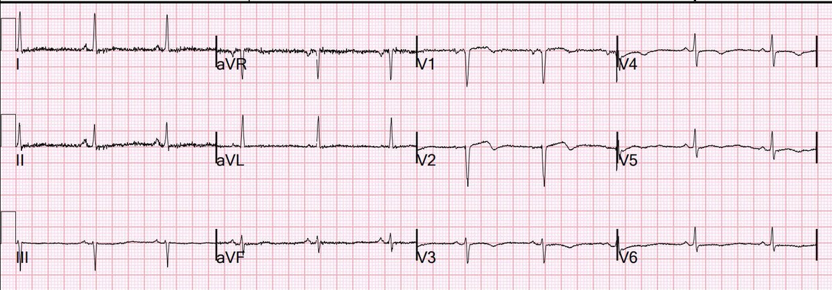 Stephen W. Smith tweet media