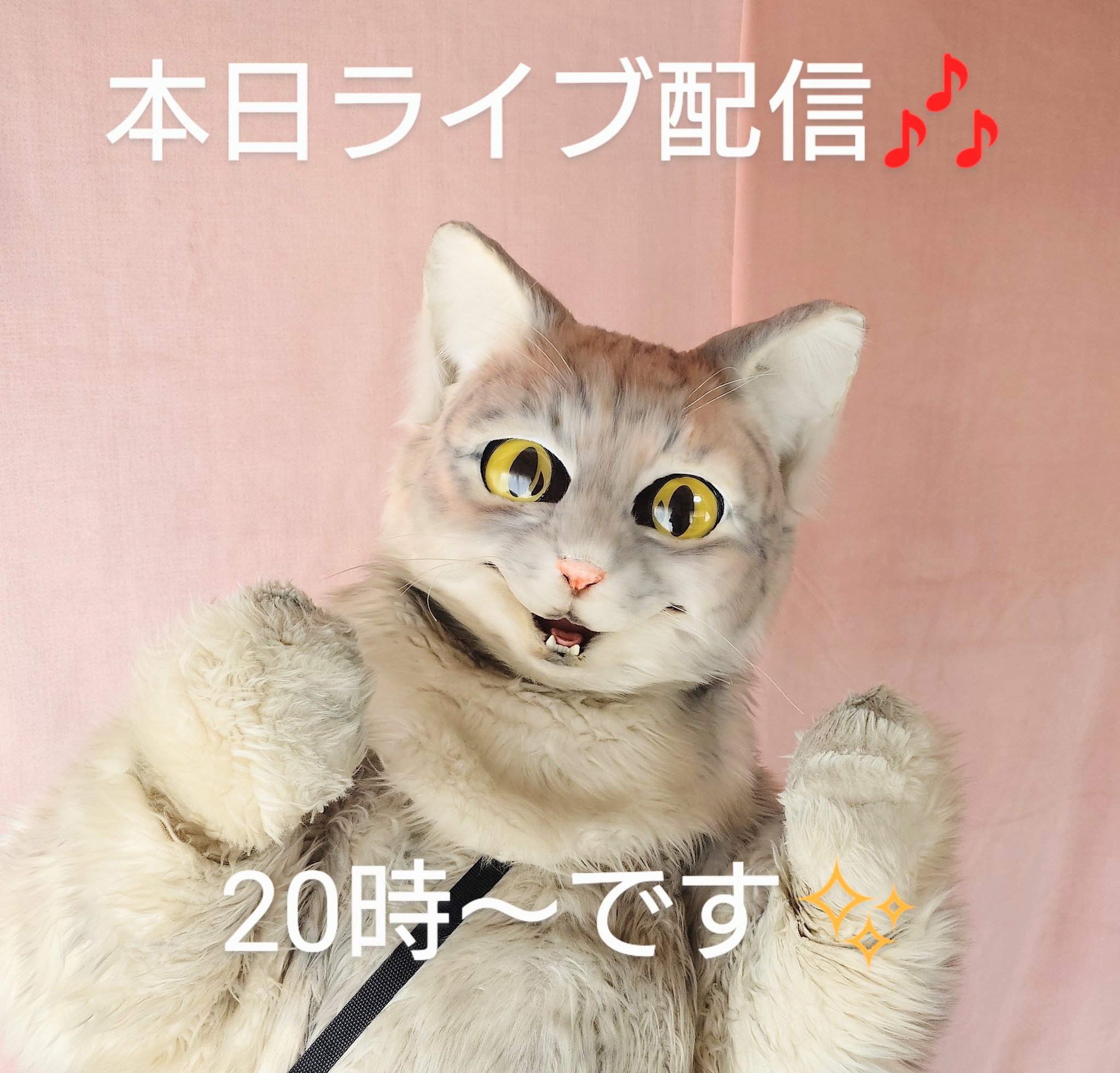 プリン専門店♪坂の上の猫♪ 源田 晃一 【公式】 on X: 