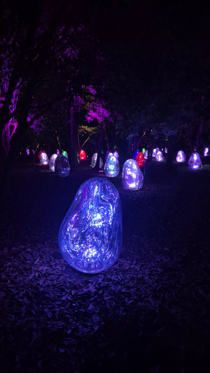 NAE 🌼 tweet media