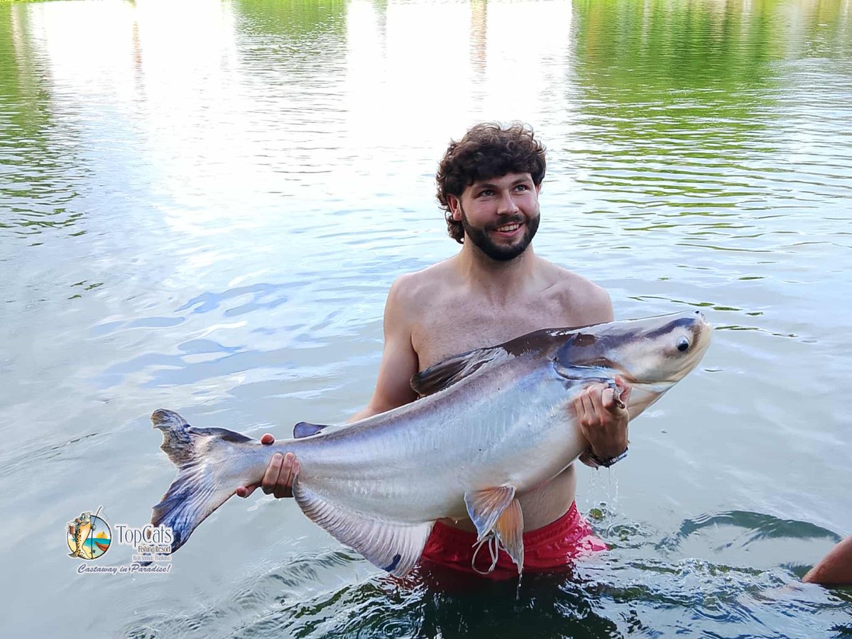 TopCatsThailand's tweet photo. It’s always a joy to see the excitement and smiles on our anglers’ faces when they reel in their prized catches here at #TopCats. From the mighty #MekongCatfish to the stunning #SiameseCarp and to feisty #WellsCatfish, every catch is more than just a fish! 🎣 https://t.co/oNDfMBYzBm